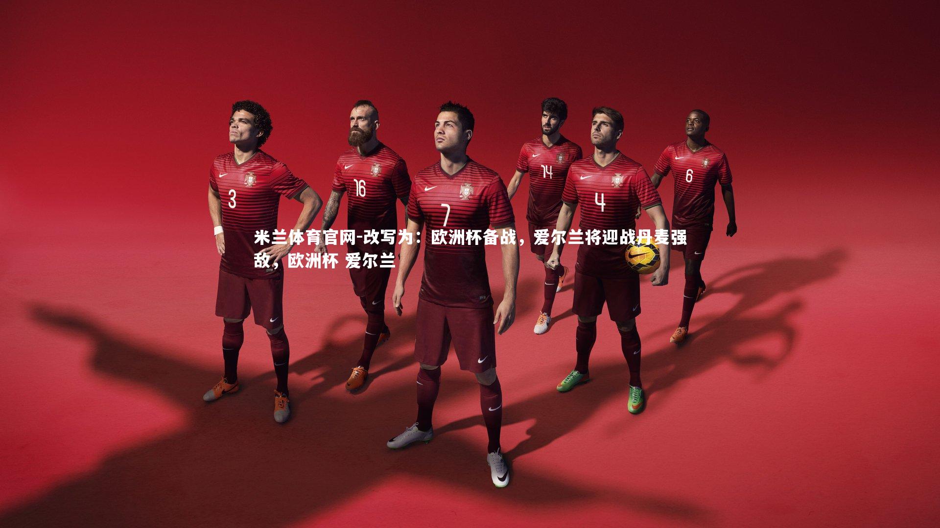 改写为：欧洲杯备战，爱尔兰将迎战丹麦强敌，欧洲杯 爱尔兰