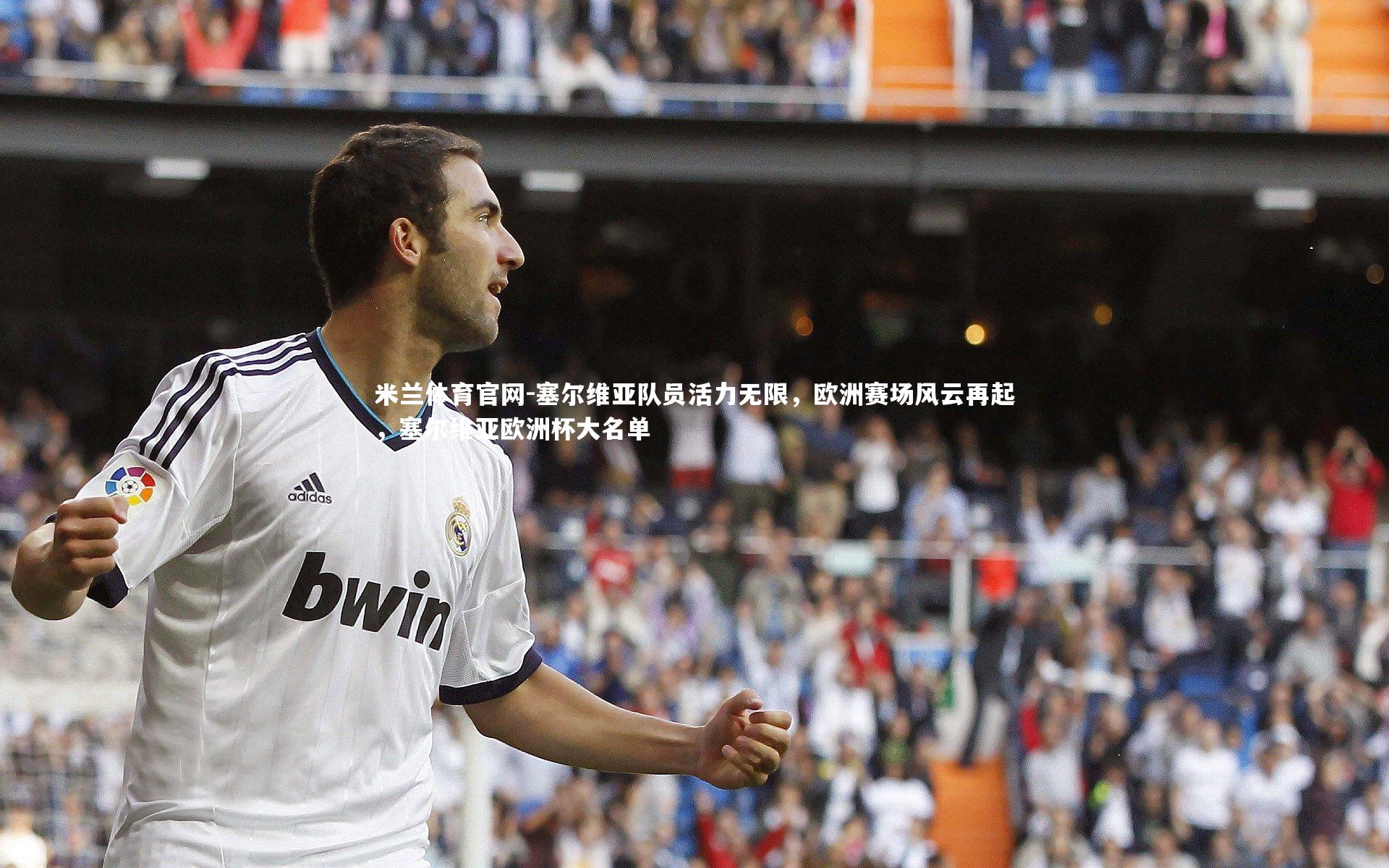 塞尔维亚队员活力无限，欧洲赛场风云再起，塞尔维亚欧洲杯大名单